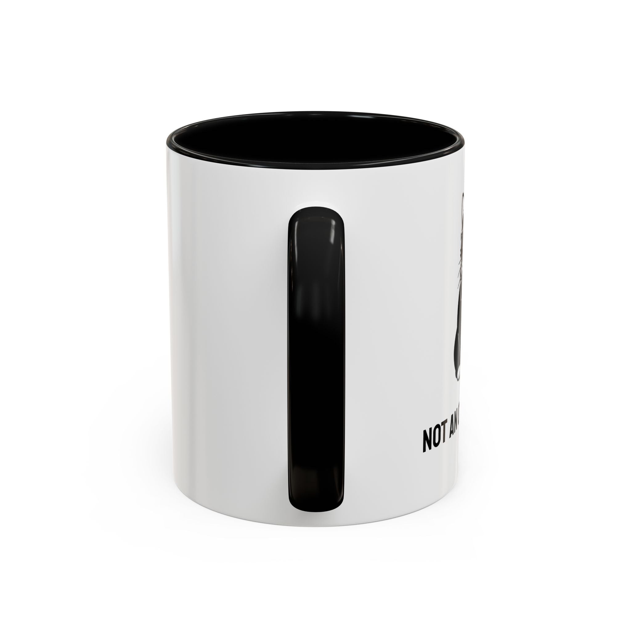 Not an Outdoor Cat Mug – House Cat Radio, Funny House Music Coffee Mug